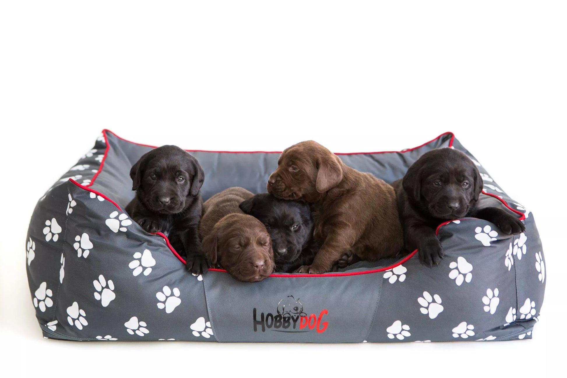 Šunų lovytė, Maža "Hobbydog" sofa - L: 65x50