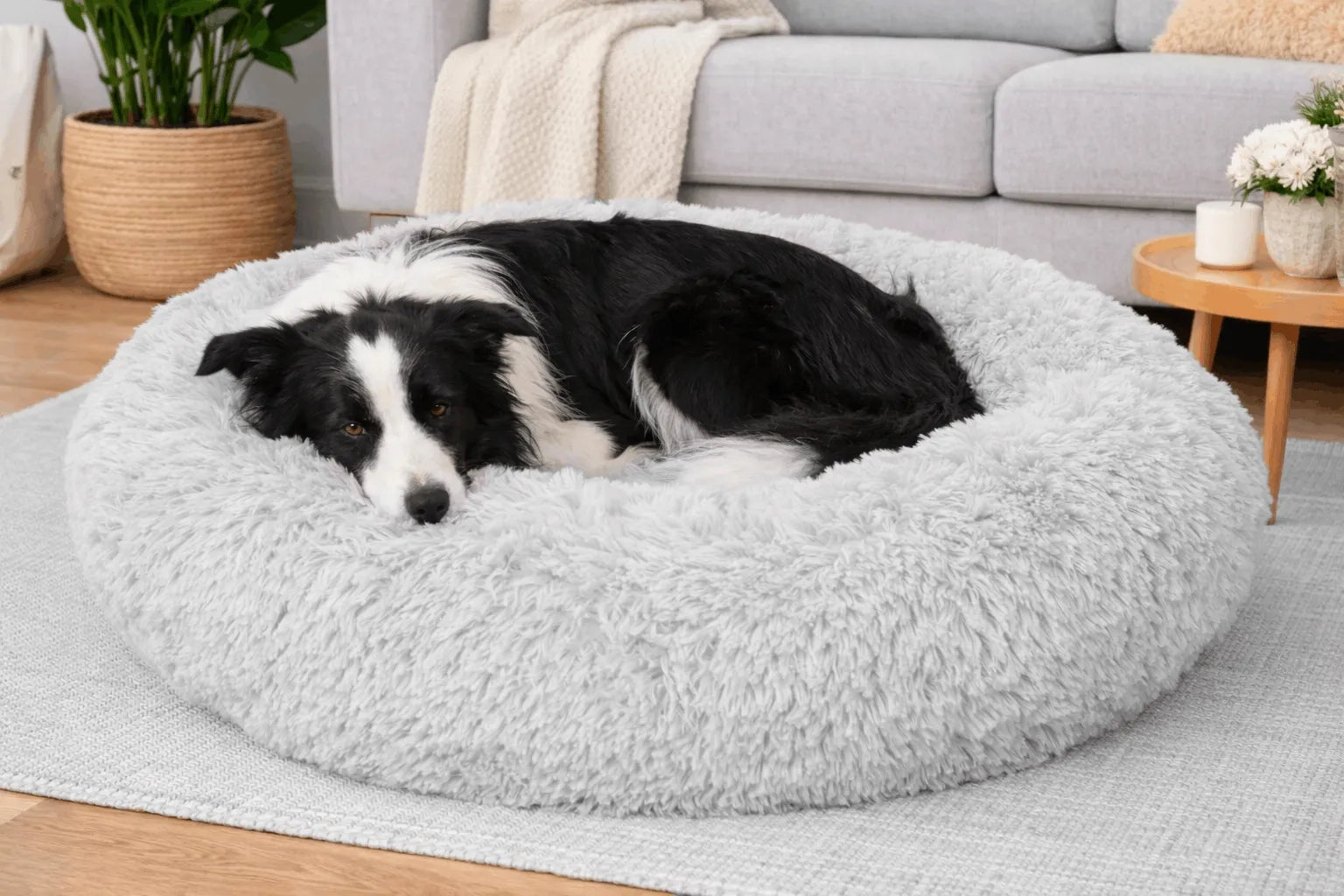 BB-Shop Shaggy gultas šunims ir katėms 80 cm – pliušinis, neslystantis, patogus