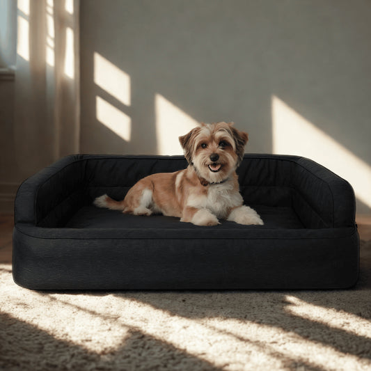 Šuns lova – sofa, šuns guolis – atsparus vandeniui – L 78x47 cm