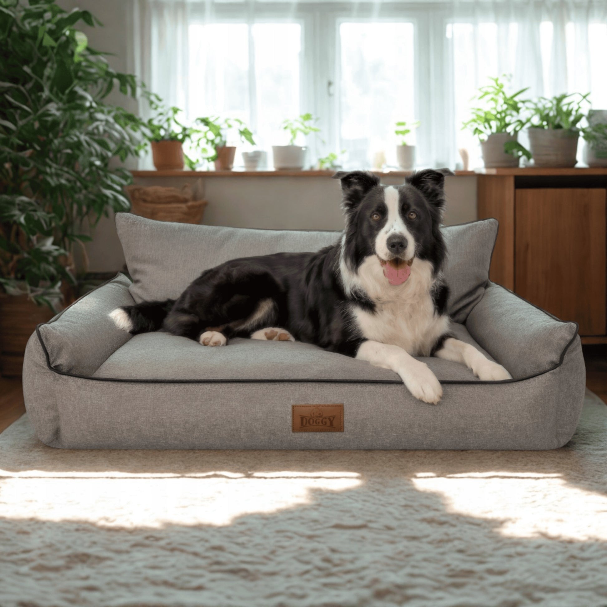 Šunų guolis - vandeniui atsparus aptvaras - sofa šuniui - XXL 106x80 cm