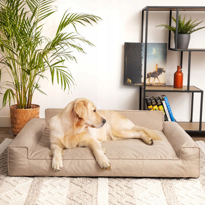 Šuns gultas Doggy Glamour XL 98x66 cm, smėlio spalvos neperšlampamas medžiaginis guolis