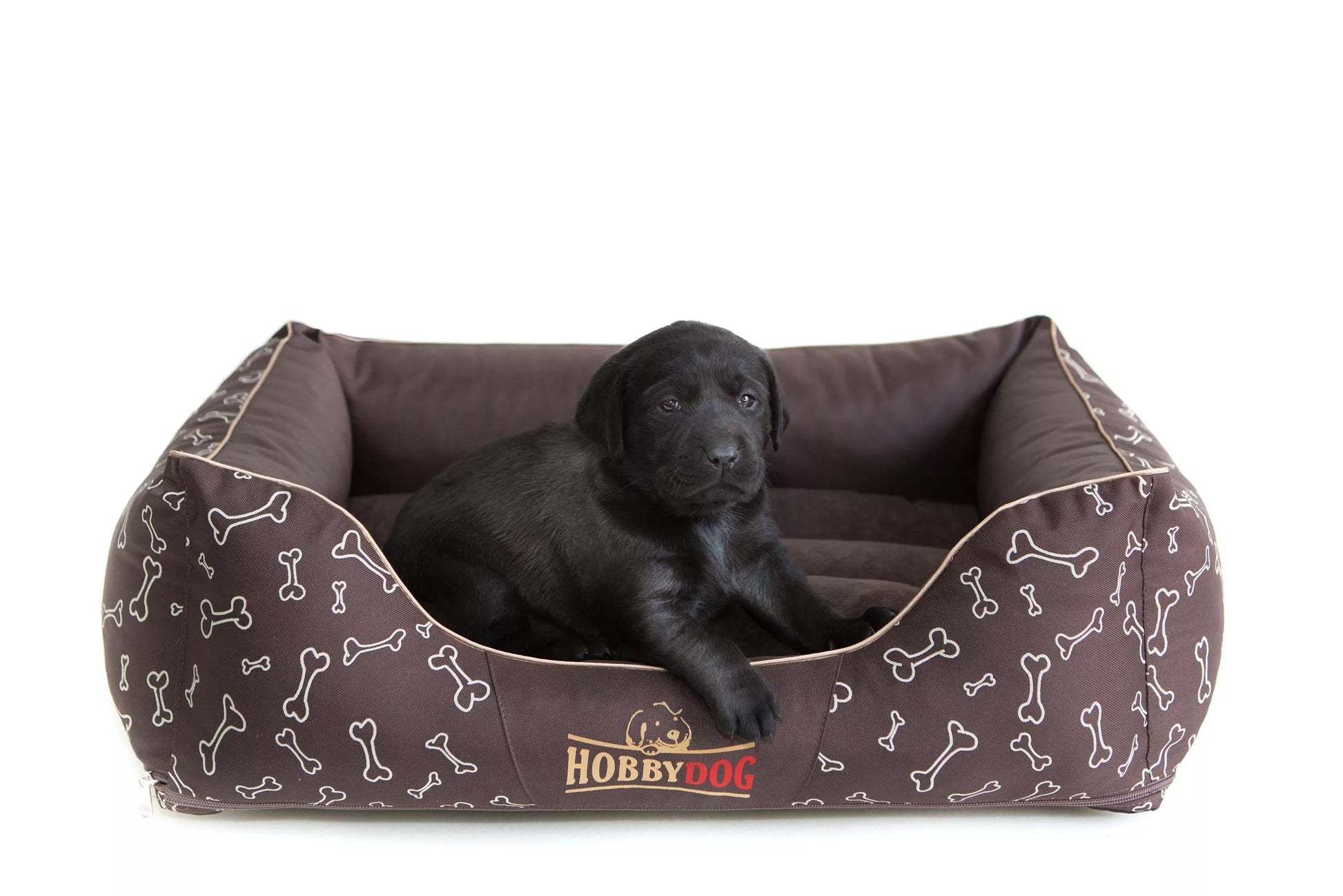 Maža šunų lova, "Hobbydog" sofa - 65x50 cm