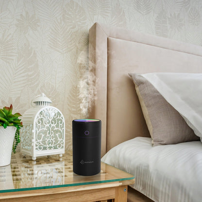 Garinis oro drėkintuvas ir aromato difuzorius