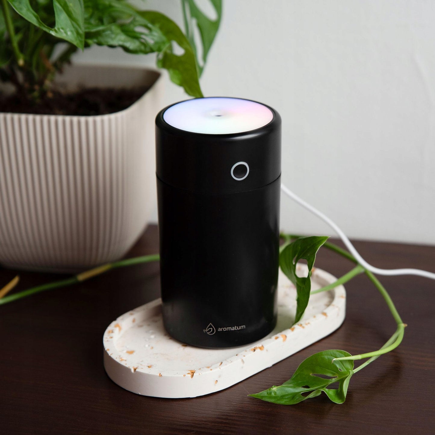 Garinis oro drėkintuvas ir aromato difuzorius