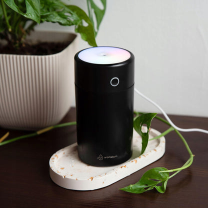 Garinis oro drėkintuvas ir aromato difuzorius