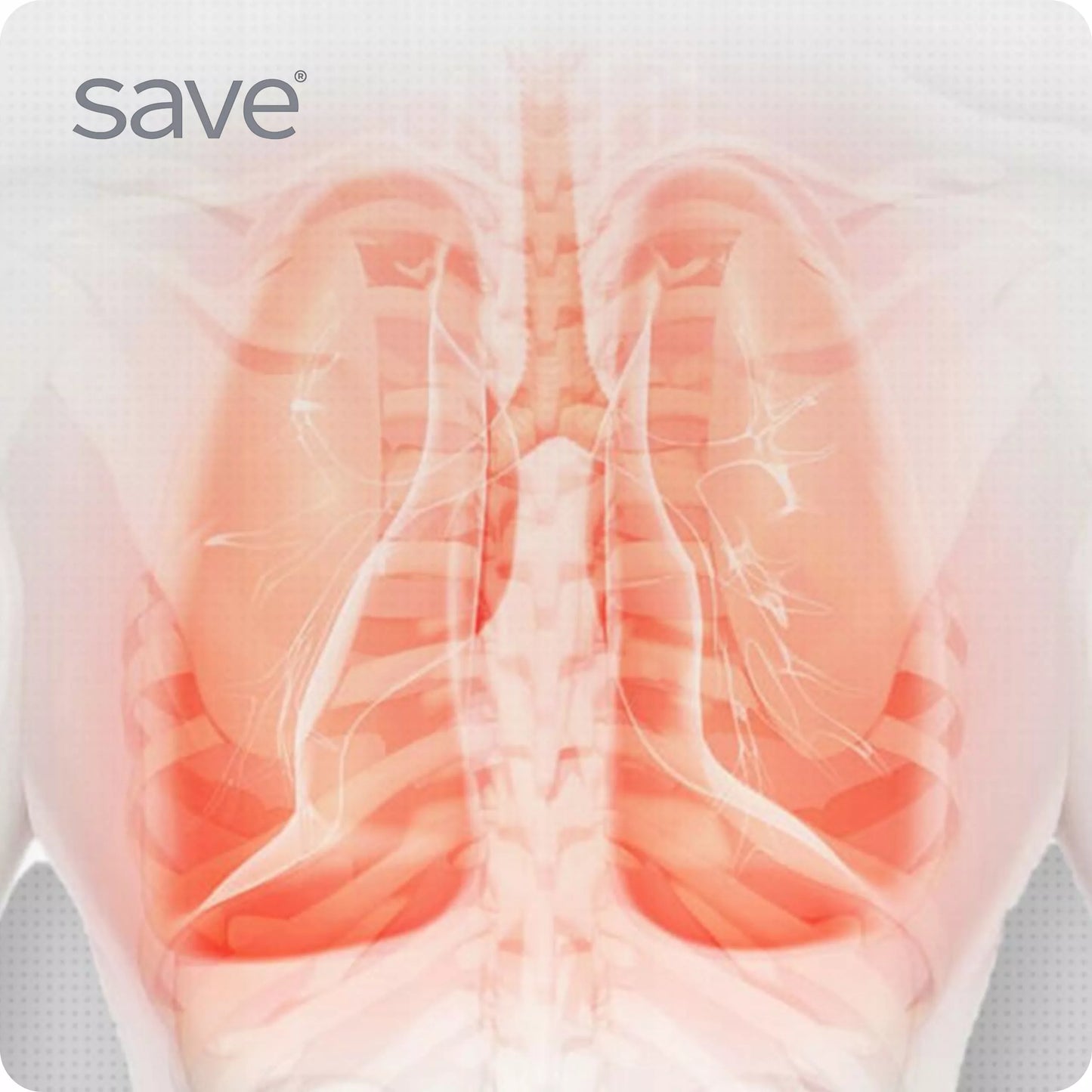 PRZENOŚNY NEBULIZATOR SIATECZKOWY CICHY DLA DZIECI I DOROSŁYCH SAVE