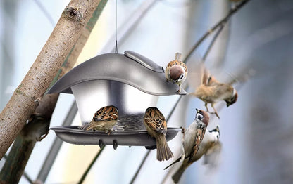 MODERNUS LESALDYKLĖS PAUKŠČIAMS BIRDYFEED SQUARE ATSPARUS ŠALTOMS ŽIEMOMS