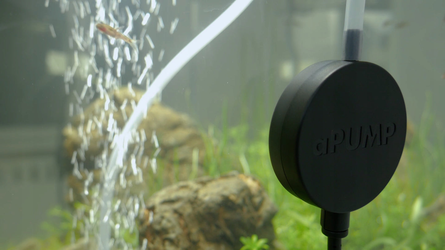 Tiriausia APUMP pompelė – aeratorius akvariumui 100L, tyli ir efektyvi