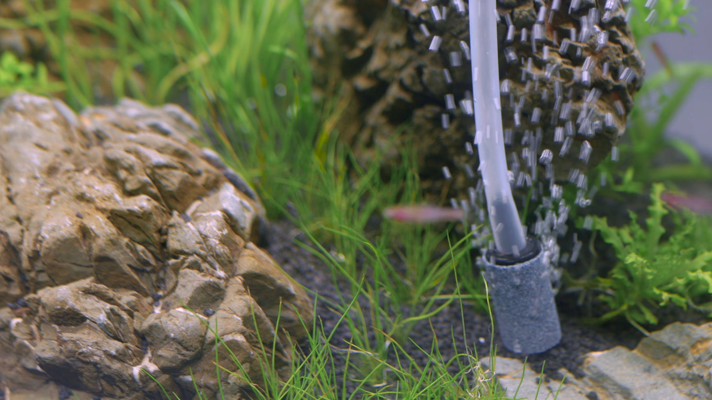 Akvariumo aeratorius APUMP MAXI – tylus, galingas siurblys akvariumui 200L