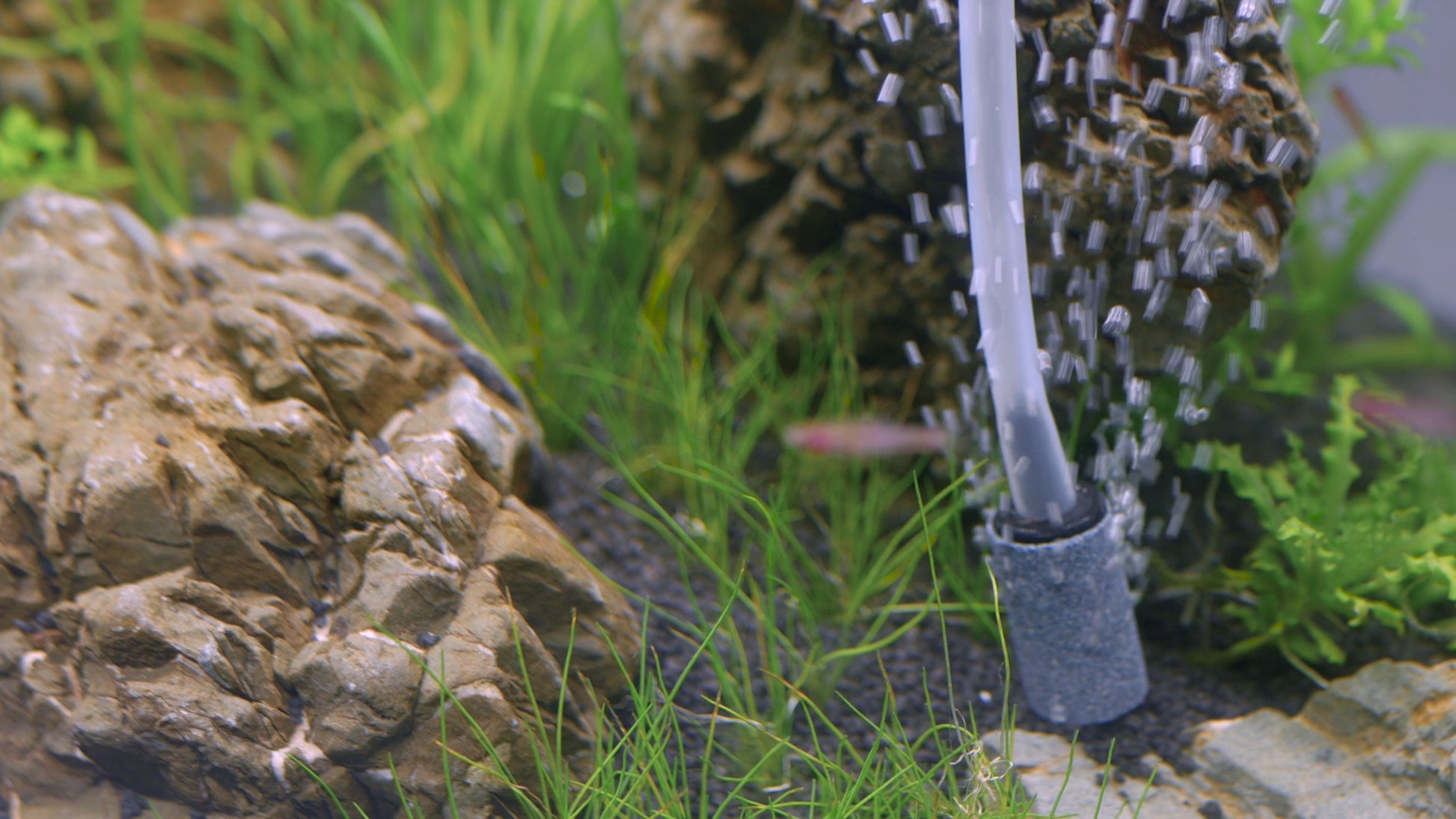 Akvariumo aeratorius APUMP MAXI – tylus, galingas siurblys akvariumui 200L