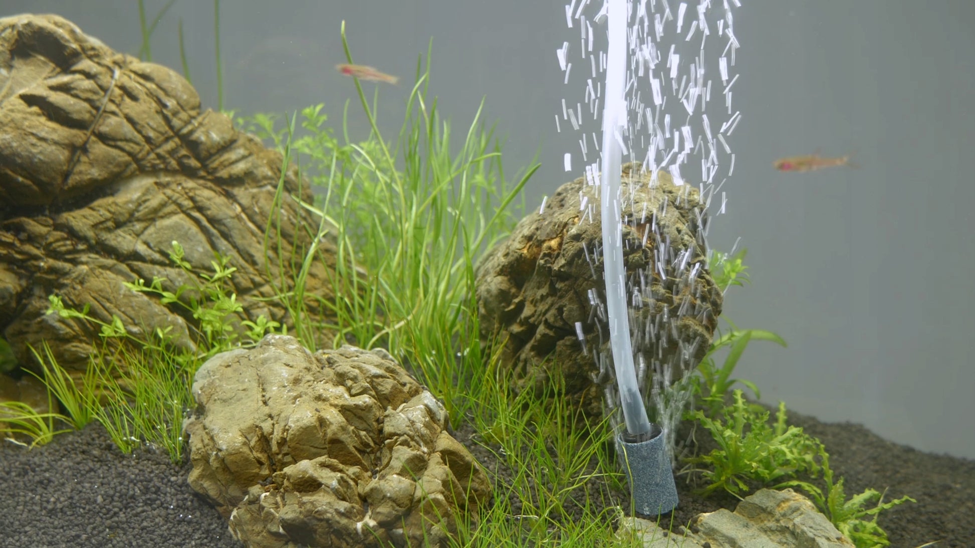 Akvariumo aeratorius APUMP MAXI – tylus, galingas siurblys akvariumui 200L