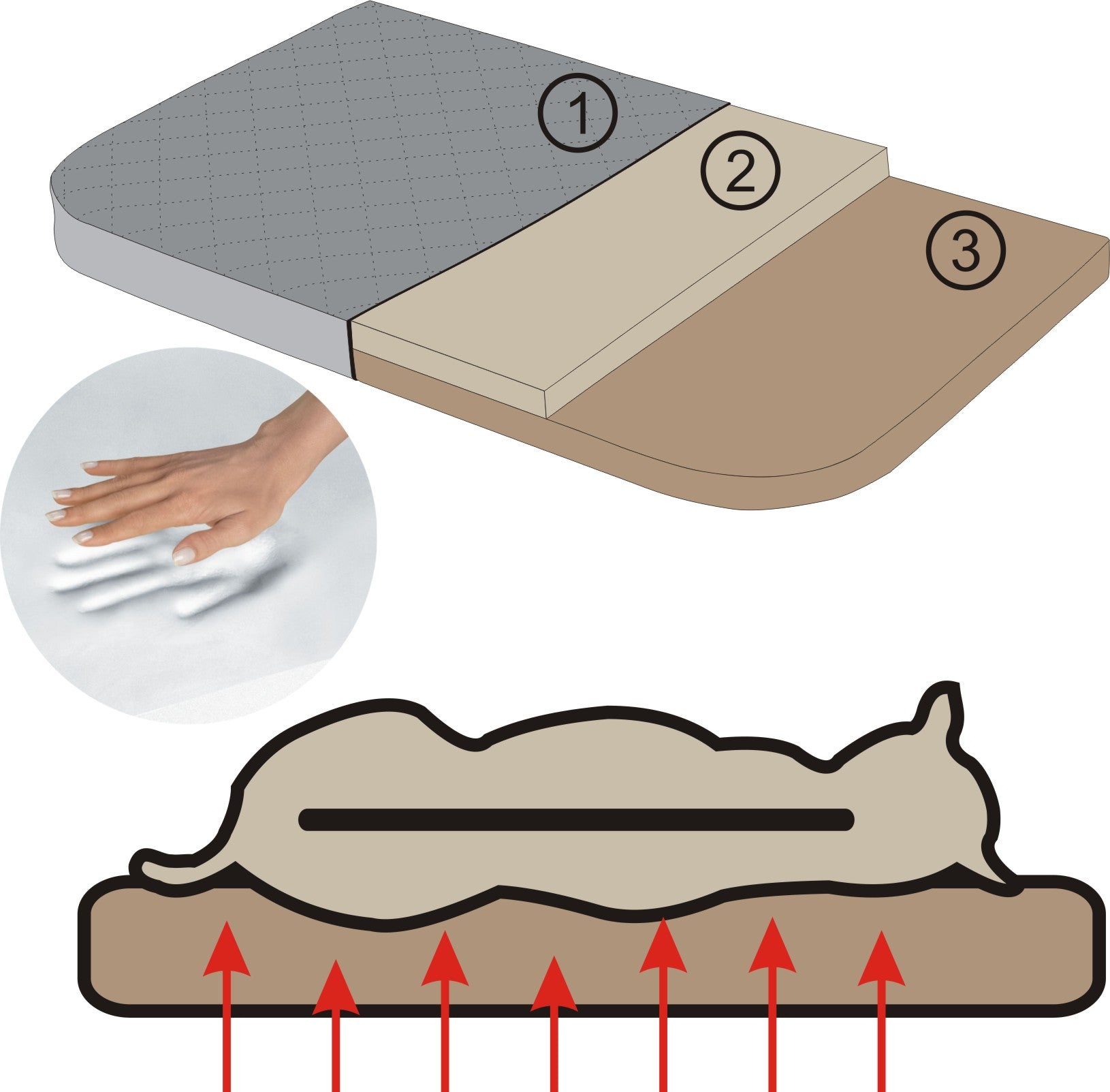 Ortopedinis šunų gultas, storas čiužinys - 120 cm x 80 cm