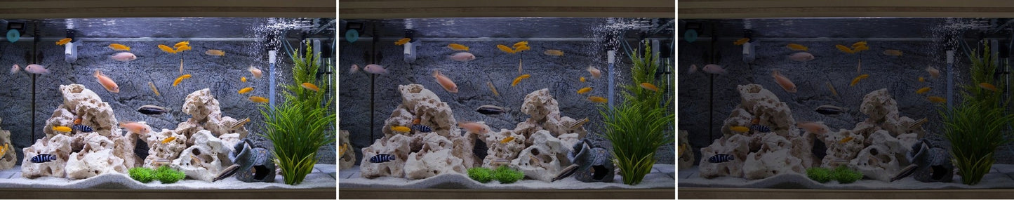 LED apšvietimas akvariumui LED lempa akvariumui NANO SPECTRUM LED JUOSTA