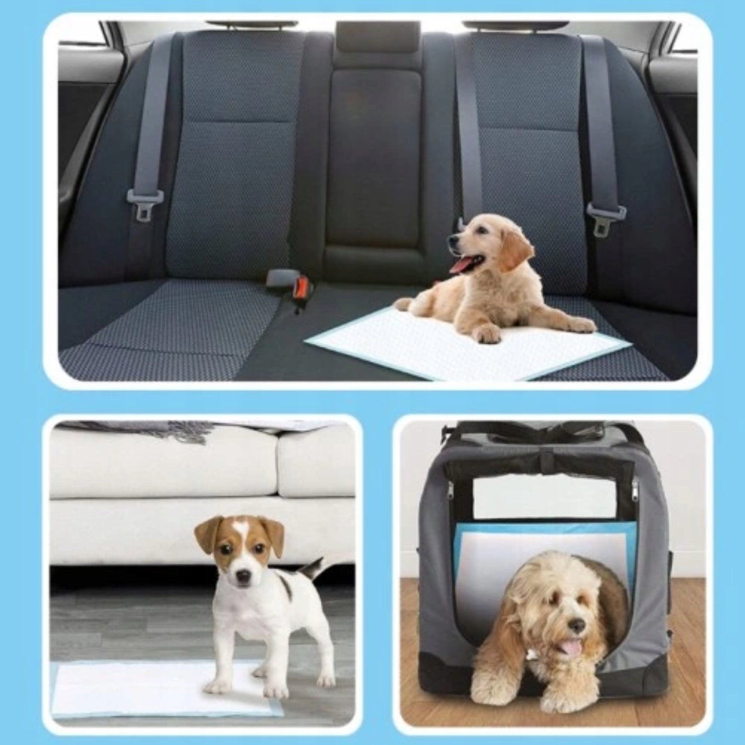 ŠUNŲ PAKLOTĖLIAI Higieniniai Šunų Vienkartiniai Įklotai 60x60 100 vnt.