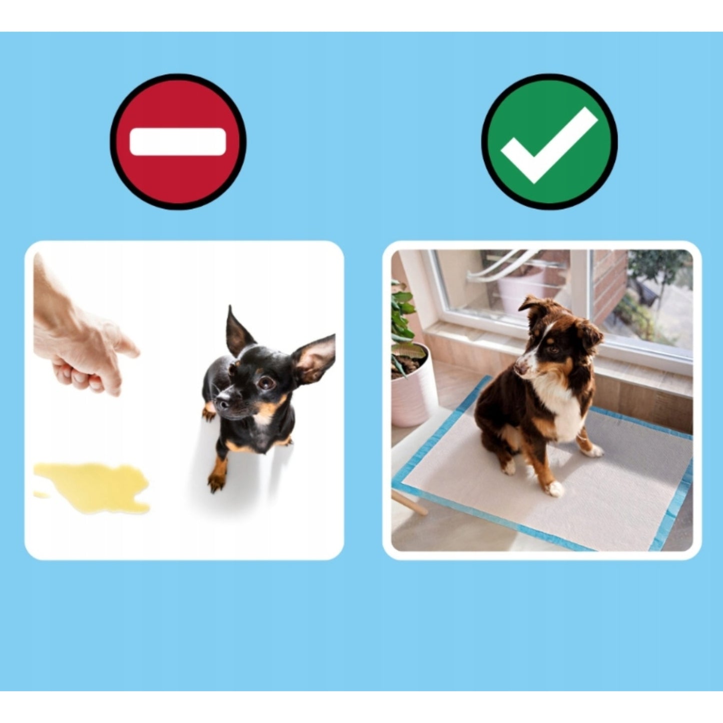 ŠUNŲ PAKLOTĖLIAI Higieniniai Šunų Vienkartiniai Įklotai 60x60 100 vnt.