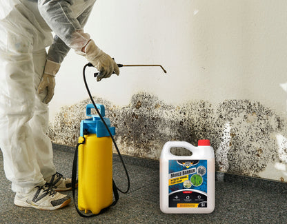 PURŠKIKLIS PERUŠALAS NUO NAMŲ GRYBŲ, PELĖSIŲ IR DUMBLŲ NO PEST 5L