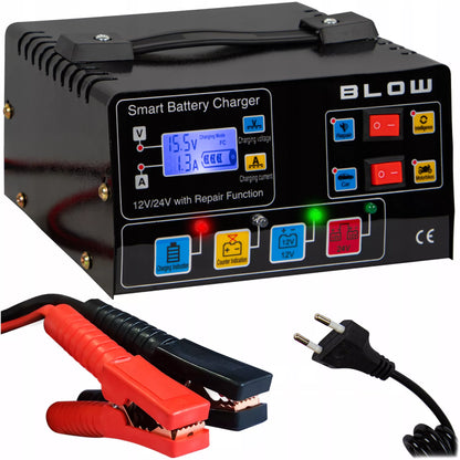 AUTOMATINIS AKUMULIATORIŲ KROVIKLIS SU JŲ TAIISYMO FUNKCIJA 12V 24V