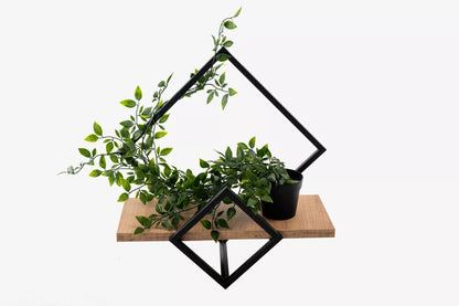 Sieninė lentyna loft stiliaus, pakabinamas augalų laikiklis, ąžuolo "craft" raštas