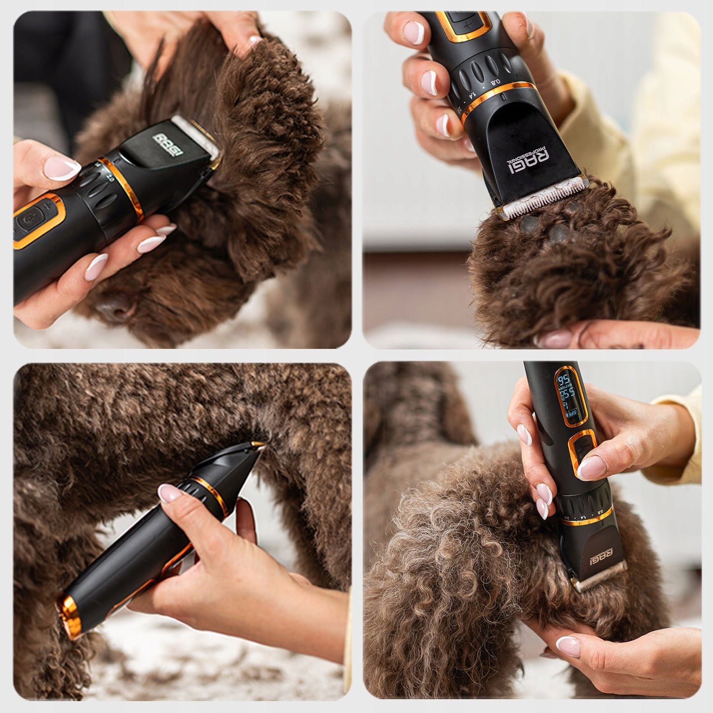 Profesionali šunų kirpimo mašinėlė Tylus augintinio trimmeris - Ragi 12in1