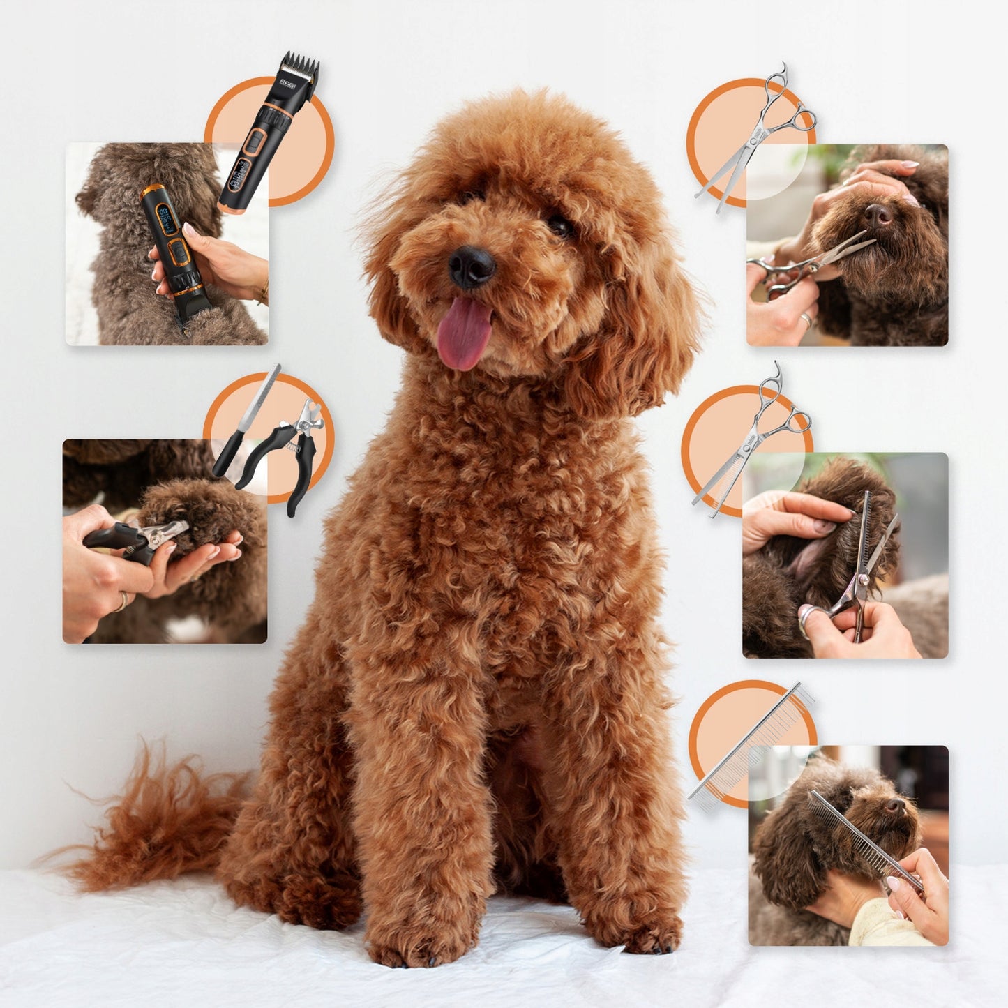 Profesionali šunų kirpimo mašinėlė Tylus augintinio trimmeris - Ragi 12in1