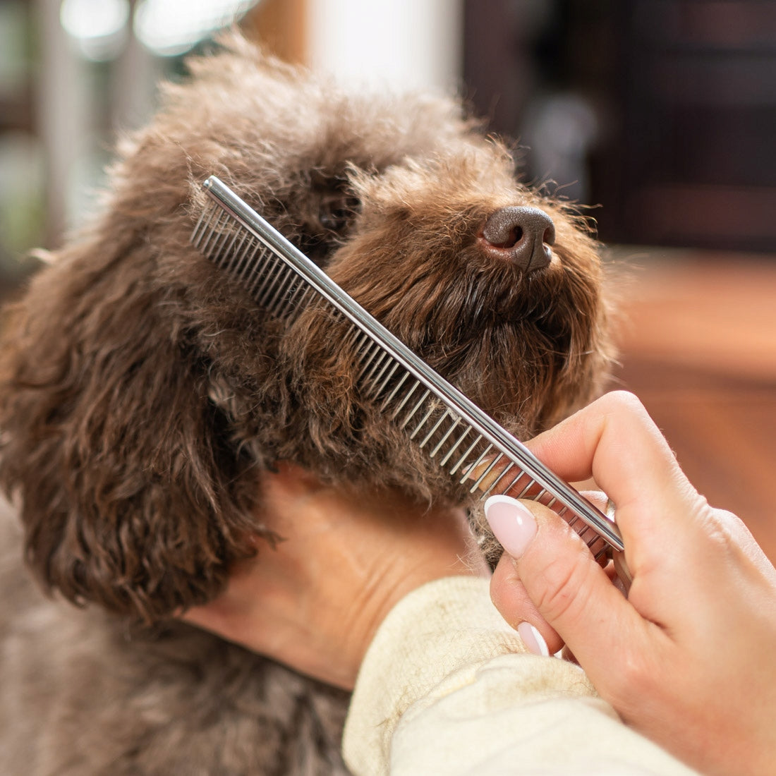 Profesionali šunų kirpimo mašinėlė Tylus augintinio trimmeris - Ragi 12in1