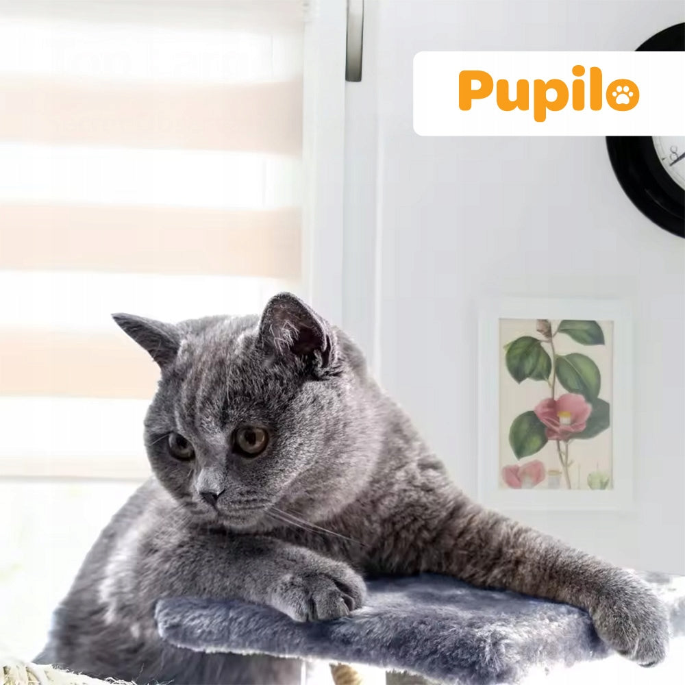 Pupilo kačių namelis, draskykla, guolis, hamakas, kopetėlės, žaislai, 5 lygiai