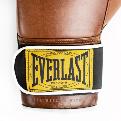 Boksinės pirštinės EVERLAST Brown 14 oz + DOVANA