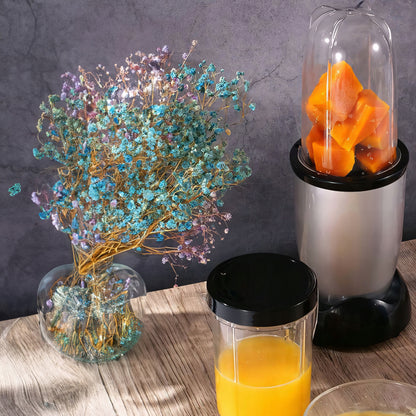 Daugiafunkcis virtuvinis kombainas-blenderis su ąsočiu, 600W, + 2 dideli 470 ml puodeliai