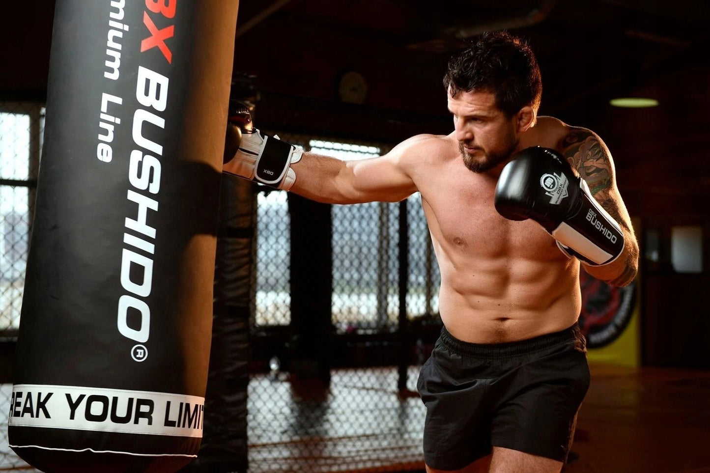 Bokso pirštinės 10oz - Phantom White - Valor Series