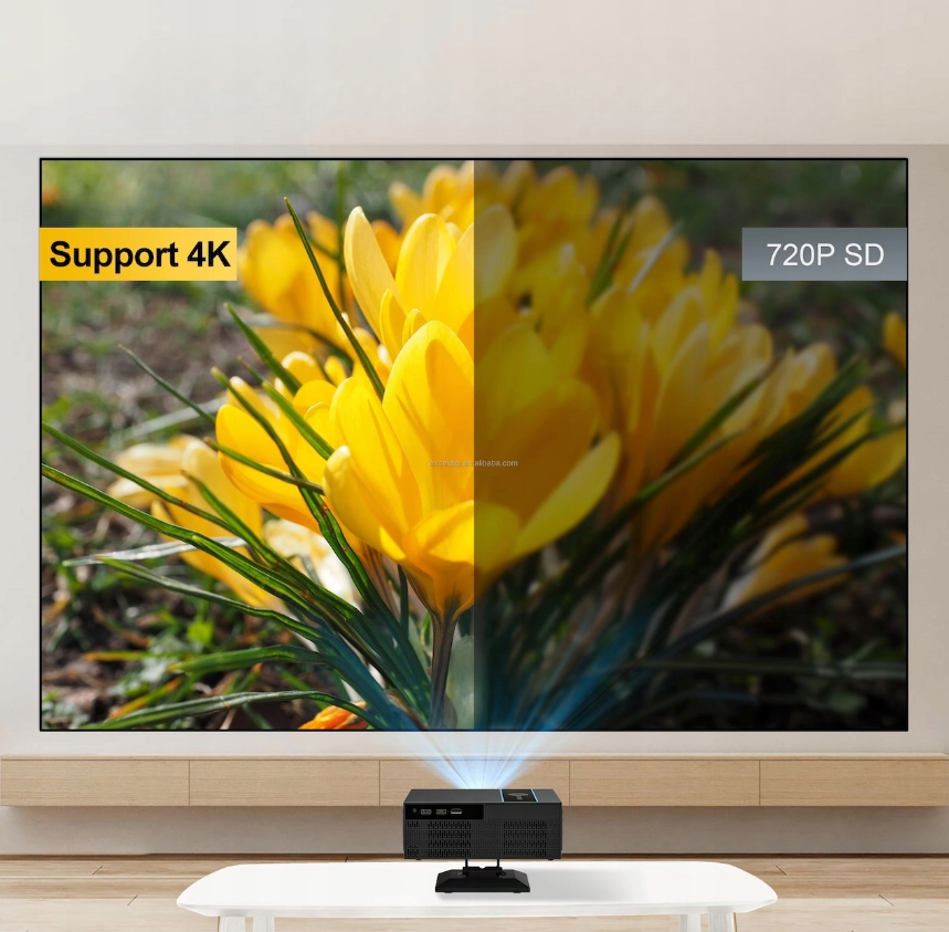 Projektorius "Vizio-tech X6M"