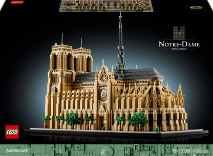 Konstruktorius suagusiems ir vyresniems vaikams „Notre-Dame de Paris“