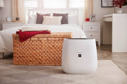 Sharp FP-J30EUB oro valytuvas