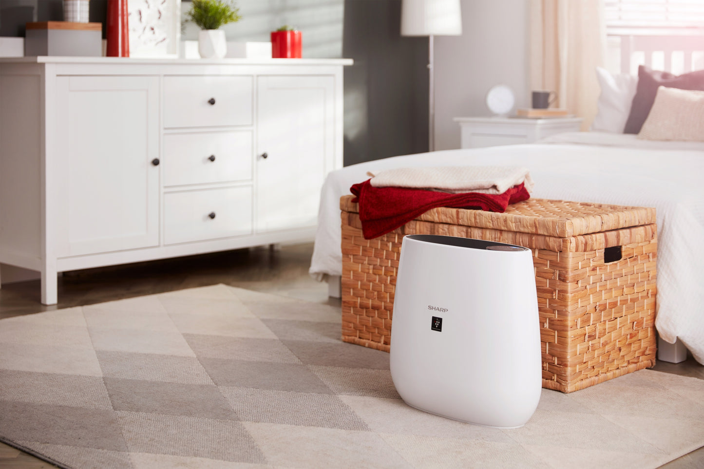 Sharp FP-J30EUB oro valytuvas