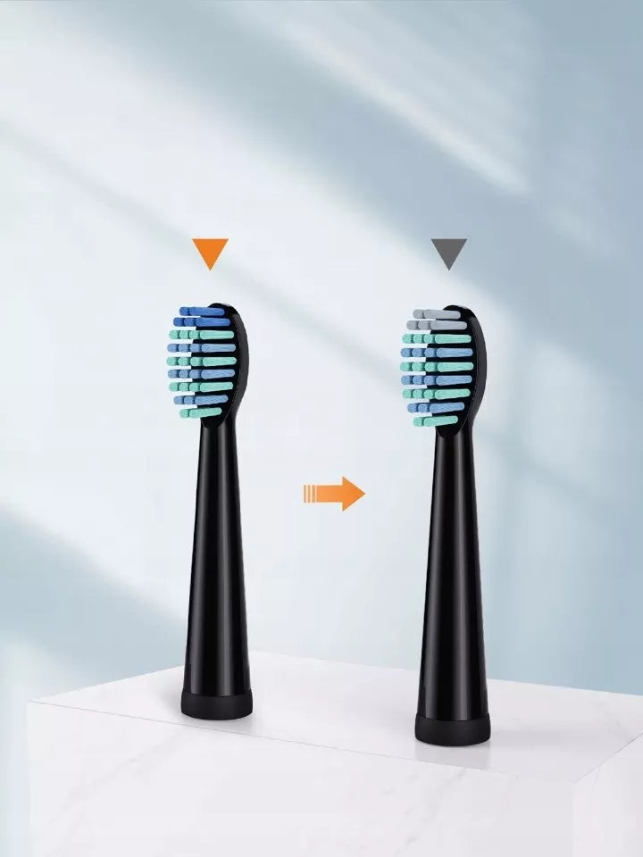Sonic dantų šepetėlis + vandens dantų irigatorius, 5 režimai, USB, IPX7, RINKINYS