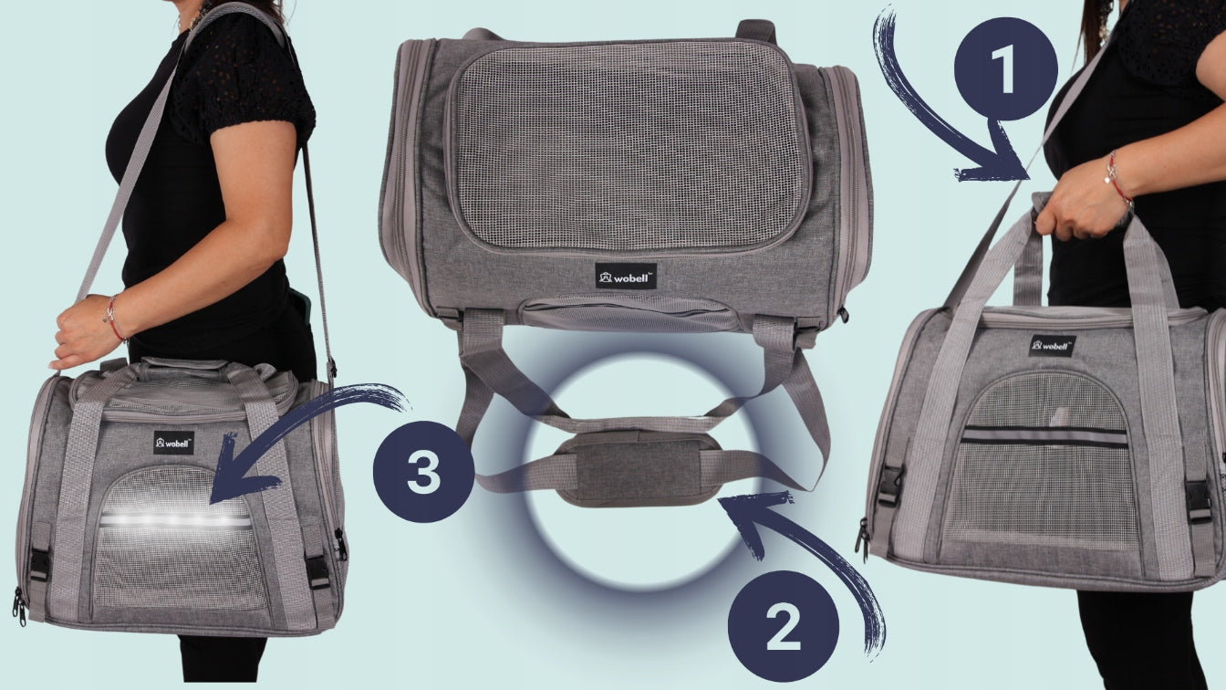 DVRĖLIS TRANS portavimo dėžė vežimėlis šunims katėms, su atidaromu šonu ir viršumi, su kilimėliu