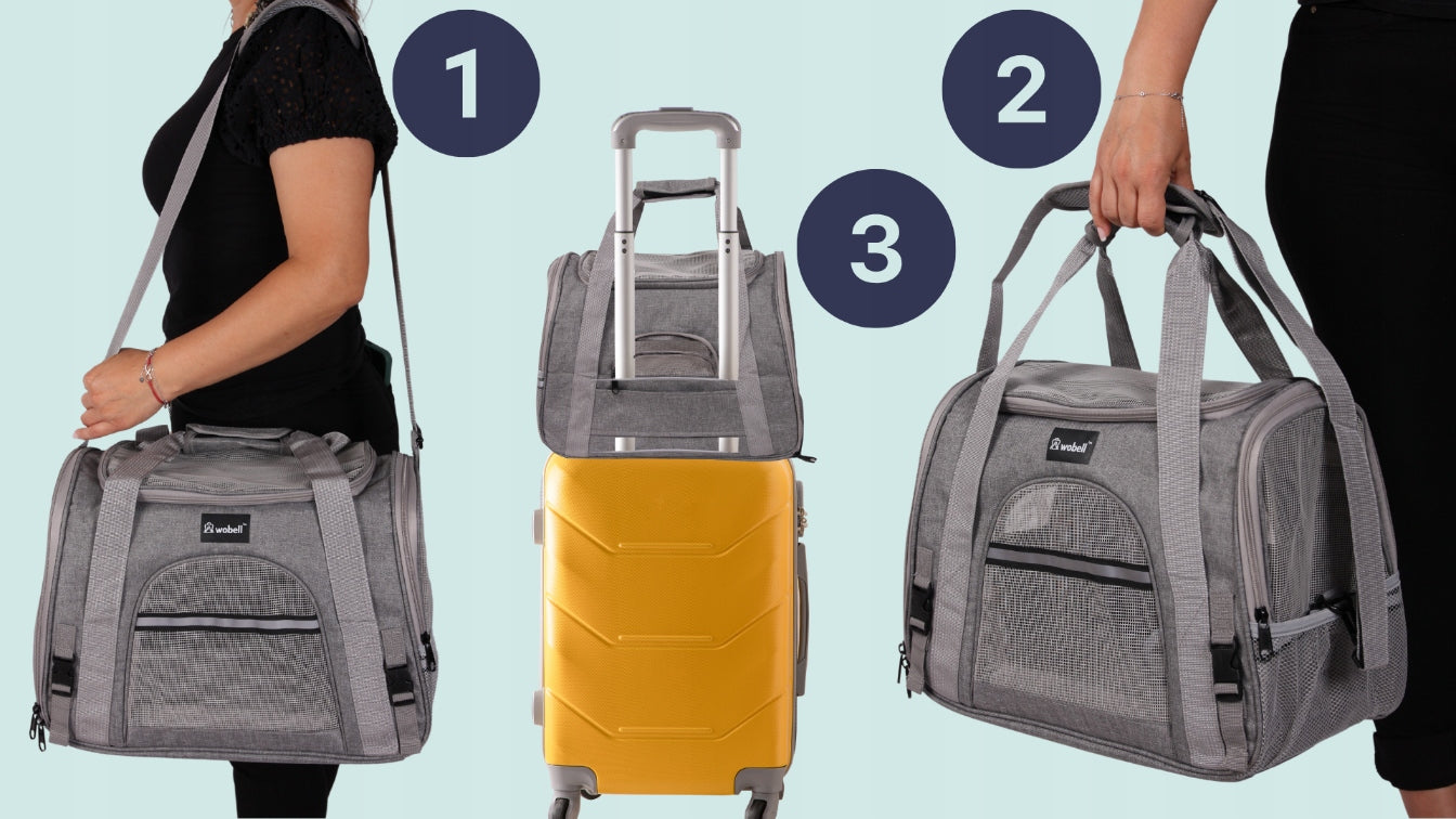 DVRĖLIS TRANS portavimo dėžė vežimėlis šunims katėms, su atidaromu šonu ir viršumi, su kilimėliu