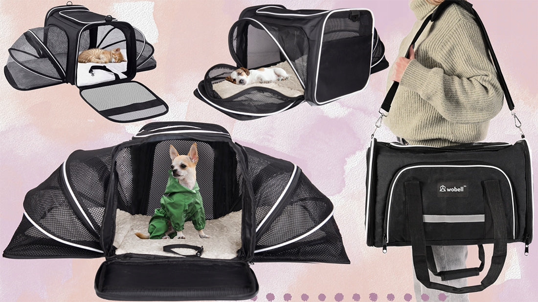 TRANSPORTERIS KOTUI, ŠUNIUI SU VENTILIACIJA SKIRTAS SKRYDŽIAMS LĖKTUVU, KELIONĖMS