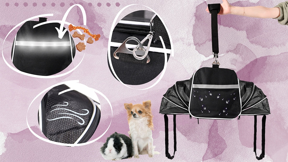 TRANSPORTERIS KOTUI, ŠUNIUI SU VENTILIACIJA SKIRTAS SKRYDŽIAMS LĖKTUVU, KELIONĖMS