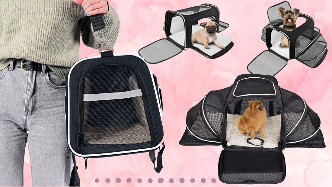 TRANSPORTERIS KOTUI, ŠUNIUI SU VENTILIACIJA SKIRTAS SKRYDŽIAMS LĖKTUVU, KELIONĖMS