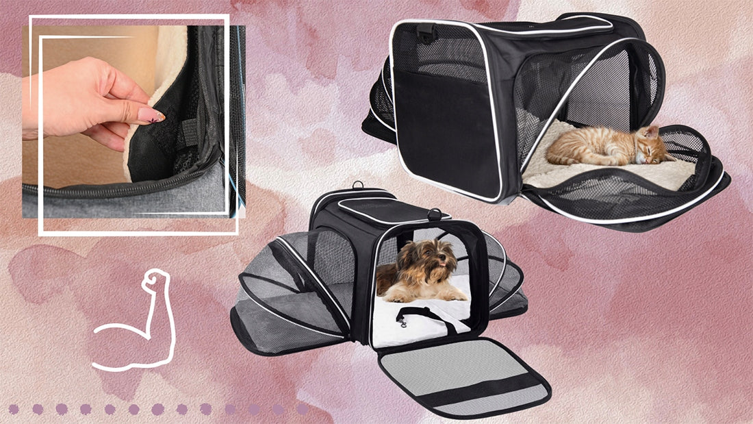 TRANSPORTERIS KOTUI, ŠUNIUI SU VENTILIACIJA SKIRTAS SKRYDŽIAMS LĖKTUVU, KELIONĖMS