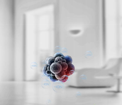 Toshiba CAF-X83XPL oro valytuvas