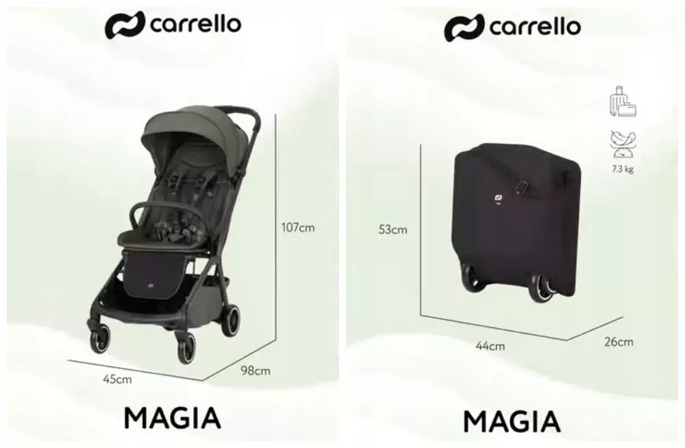 Daugiafunkcinis vežimėlis 2in1 CARRELLO MAGIA ELM pilkos spalvos, sulankstoma lopšys, 0-22 kg