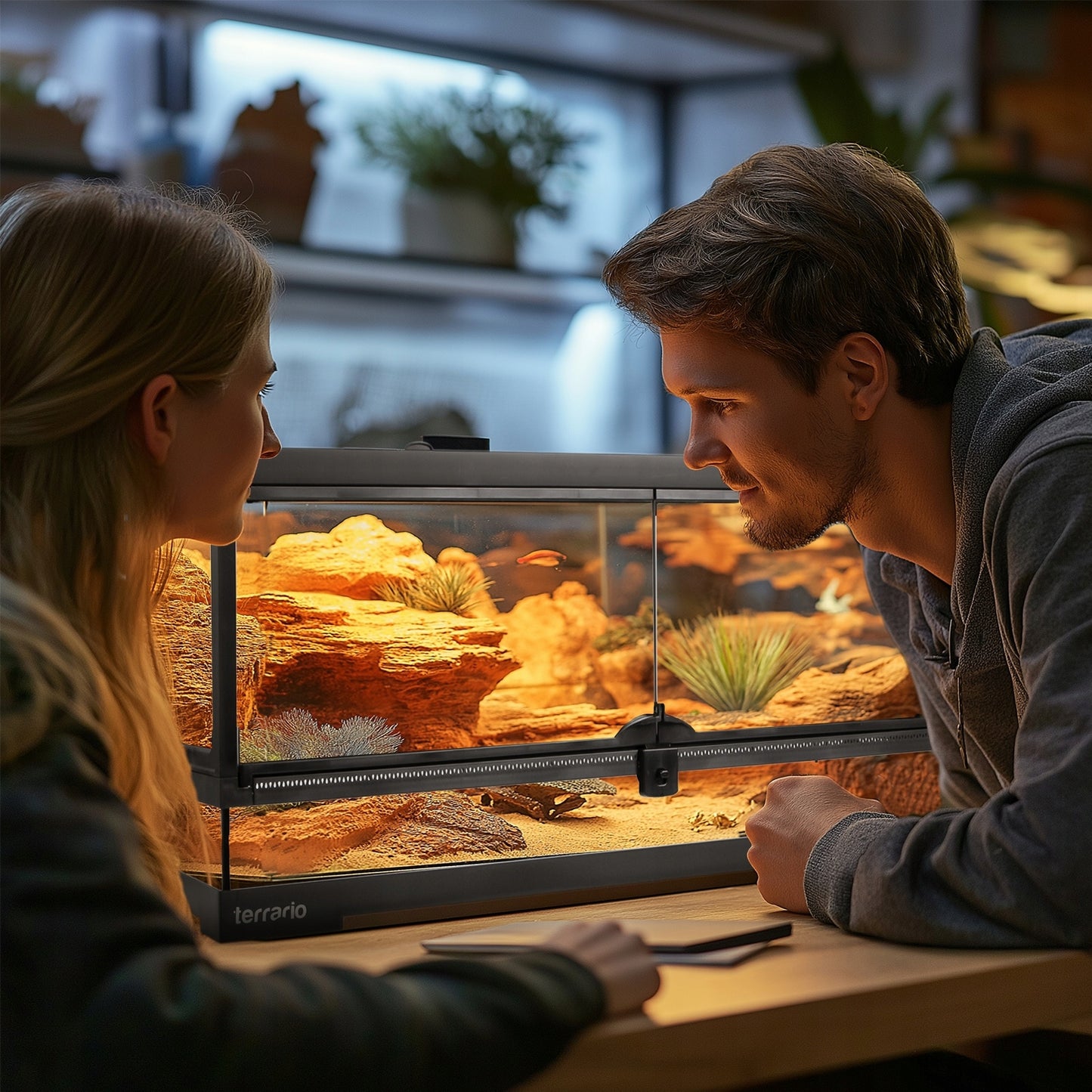 TVIRTAS STIKLINIS TERARIUMAS 75x30x30 ELEGANTIŠKAS VANDENS NEPRALAIDUS SAUGUS