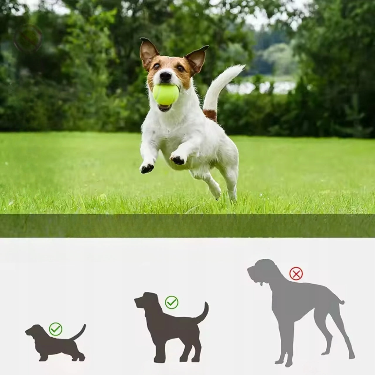 Automatinis interaktyvus kamuolių metimo įrenginys šunims | Žaislas aportavimui