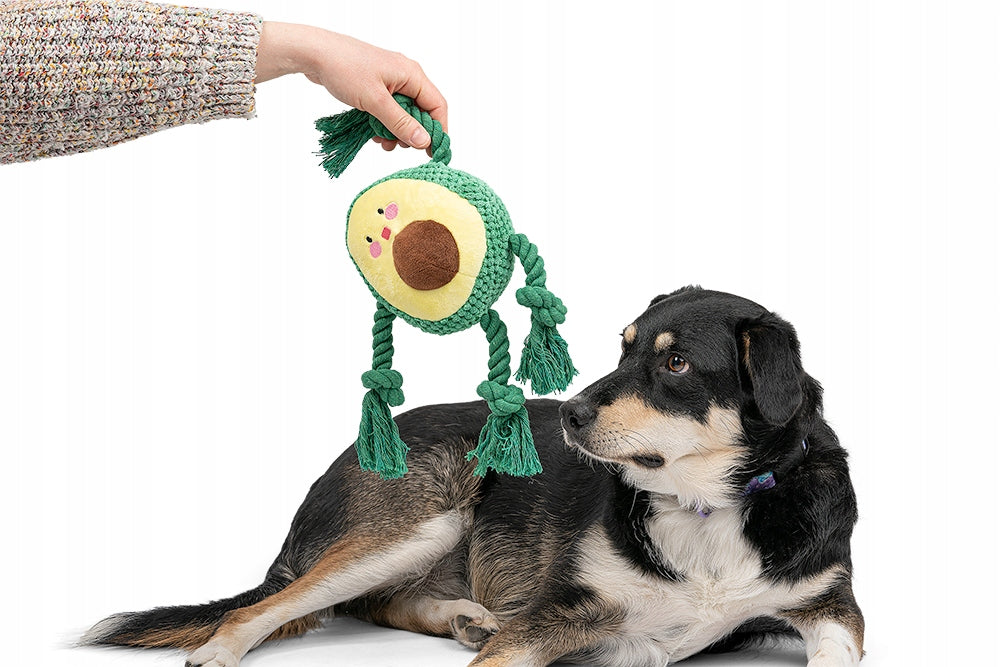 ŠUNŲ ŽAISLAS KRAMTOMAS PLIUŠINIS PIENANTIS AVOKADO IDEALUS ŽAISLAS JŪSŲ AUGINTINIUI