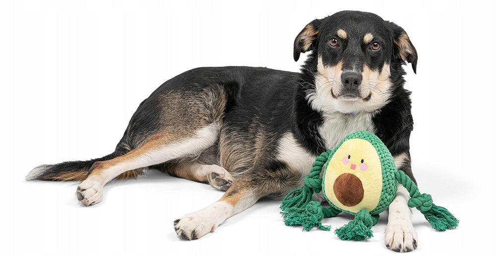 ŠUNŲ ŽAISLAS KRAMTOMAS PLIUŠINIS PIENANTIS AVOKADO IDEALUS ŽAISLAS JŪSŲ AUGINTINIUI