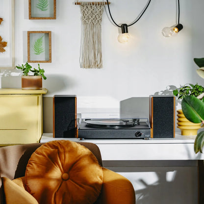 Adler Gramofon 1915 vinilinių plokštelių grotuvas Bluetooth USB 3 greičiai 7 10 12 colių