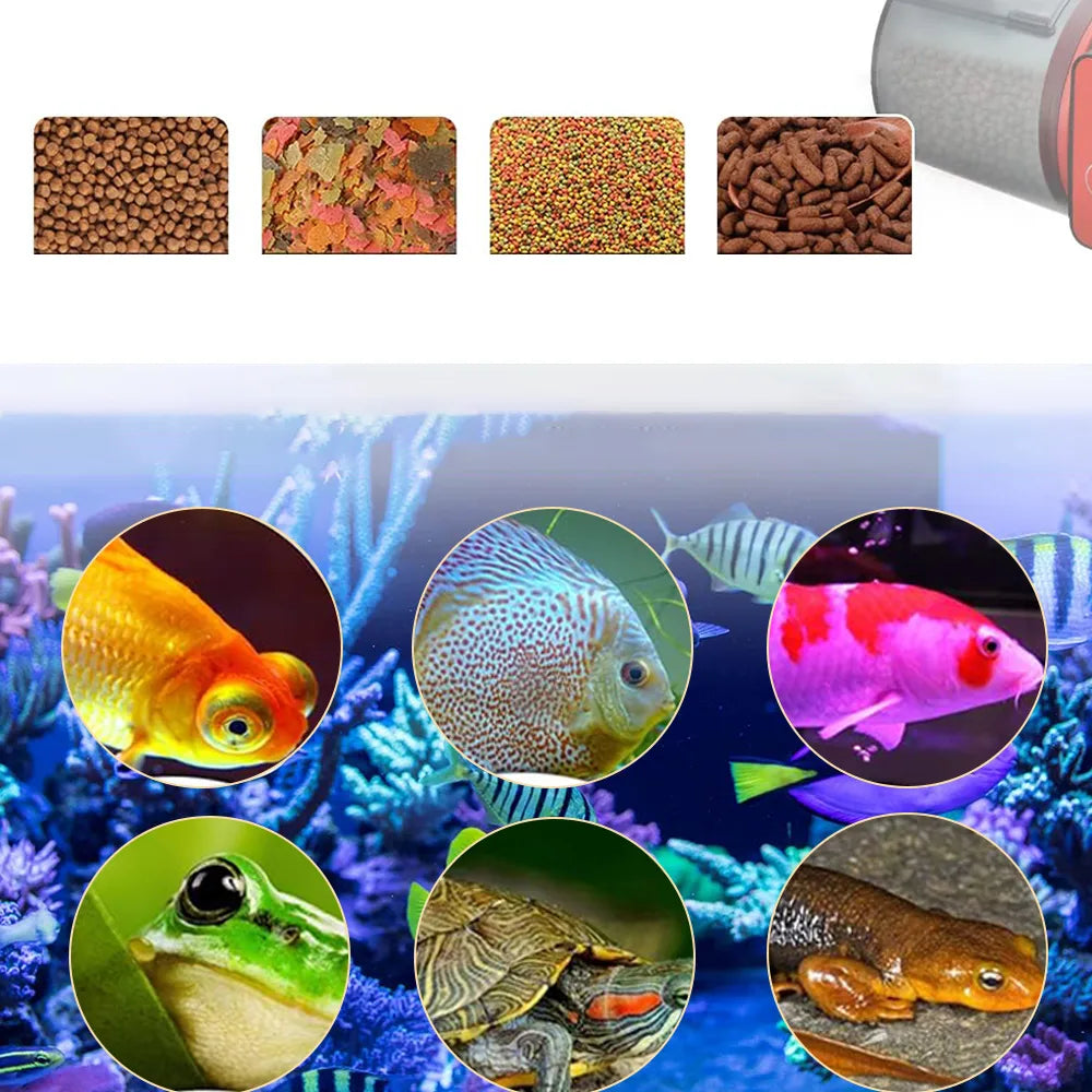 Automatinė žuvų šėryklėlė akvariumui, 4 maitinimai, 200 ml