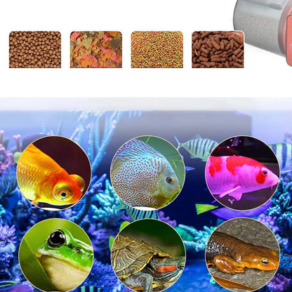 Automatinė žuvų šėryklėlė akvariumui, 4 maitinimai, 200 ml