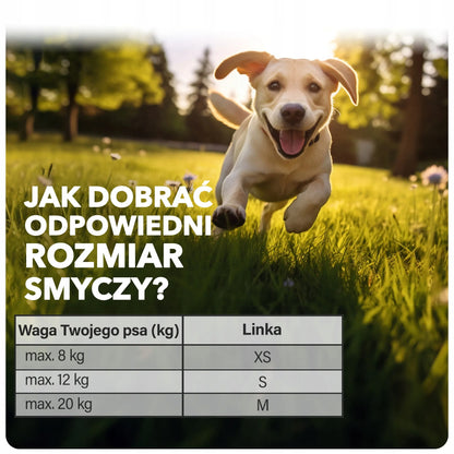 Automatinis šuns pavadėlis „Flexi“ 8 m su virvele ir „Multi Box“ dėžute maišeliams